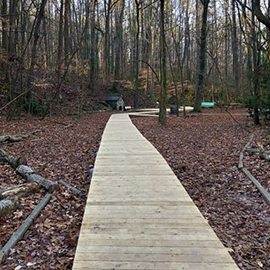 Wooden trail