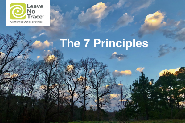 A picture of some trees and clouds with the text " leave no trace."