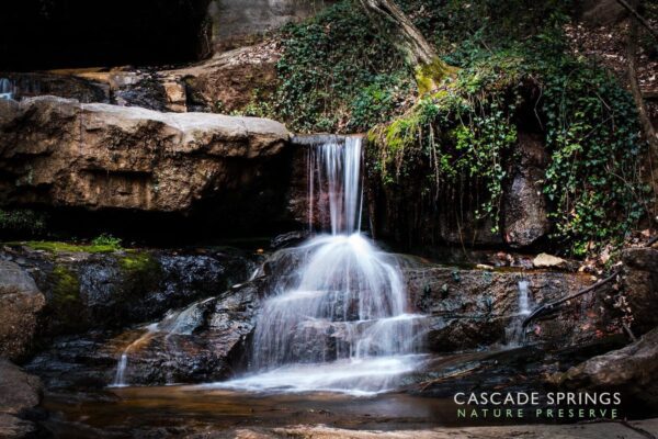 A waterfall is shown with rocks and plants.