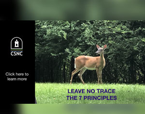 A deer. Text: Leave no trace behind.