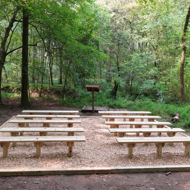 A group of benches in the middle of a forest.