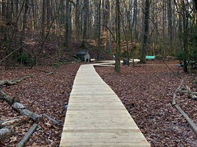 A wooden walkway in the middle of a forest.