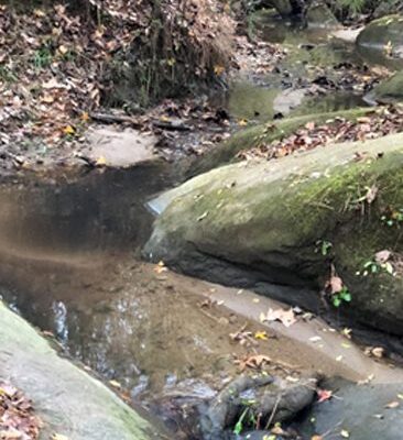 A stream running through the woods with rocks and leaves.