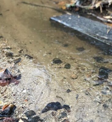 A puddle of water on the ground with leaves.