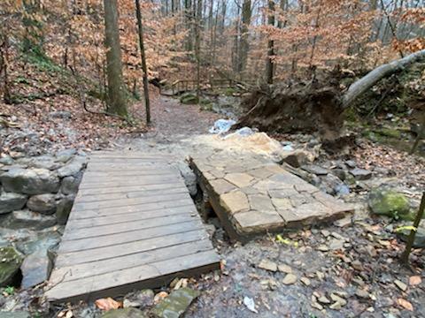 A wooden bridge in the middle of a forest.