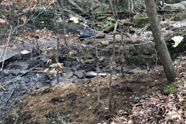 A stream running through the woods with rocks and trees.