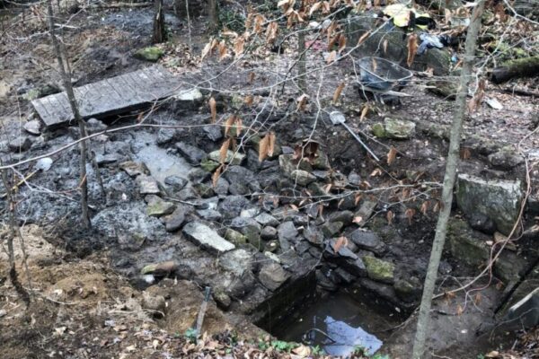 A small bridge in the middle of a forest.