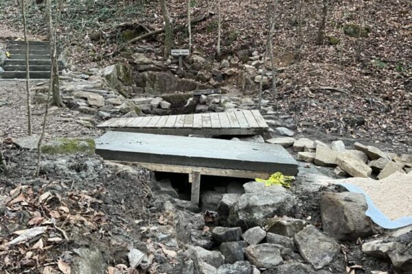 A pile of rubble in the middle of a forest.