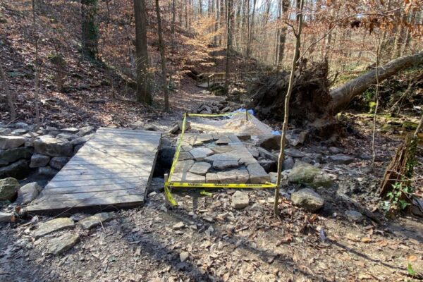 A wooden bridge in the middle of a forest.