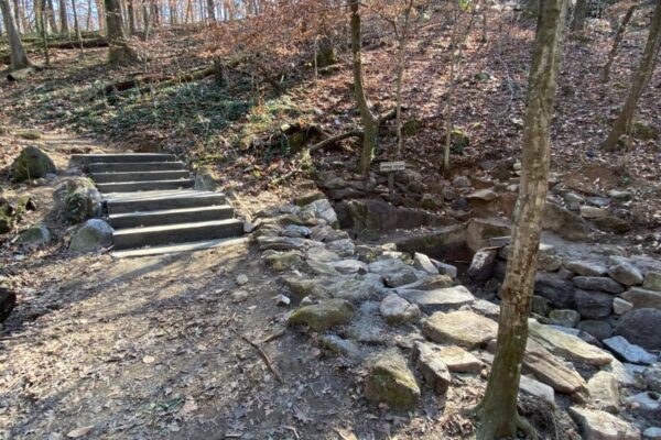 A trail with steps and rocks in the middle of it.