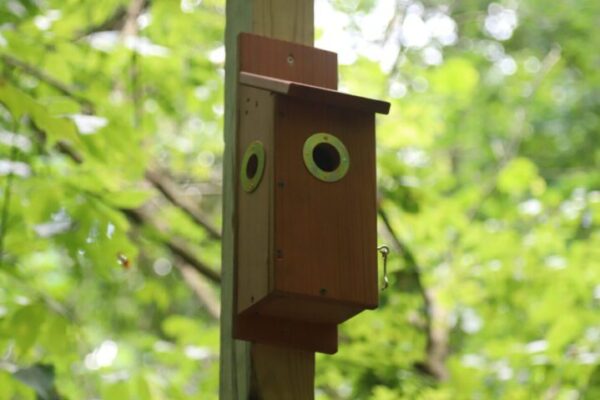 A birdhouse on the side of a pole.