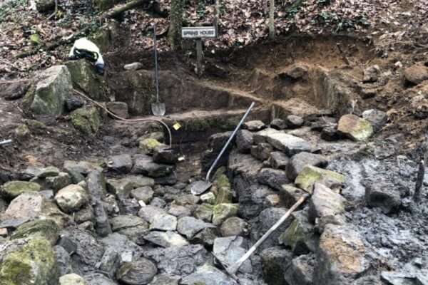 A couple of sticks in the middle of some rocks