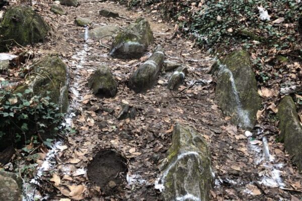 A trail with rocks and water running down it.