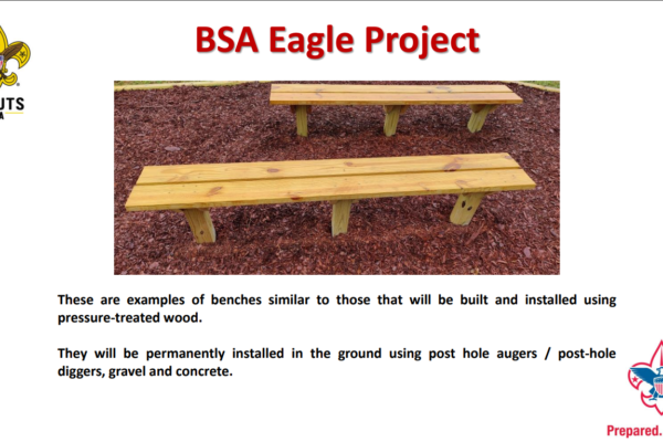 A picture of an eagle project with text.