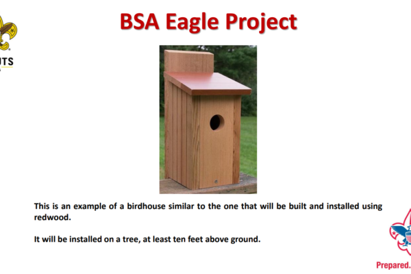 A bird house is shown with instructions.