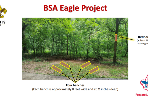 A picture of the bsa eagle project.