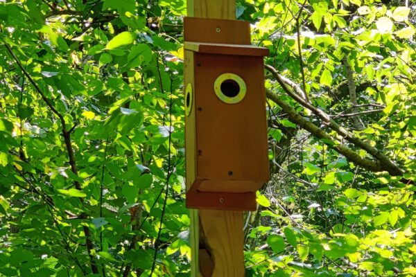 A bird house on top of a wooden pole.