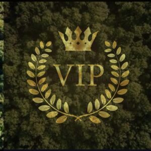 A gold crown and wreath with the word vip in it.