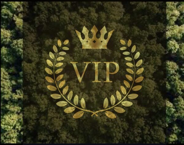 A gold crown and wreath with the word vip in it.