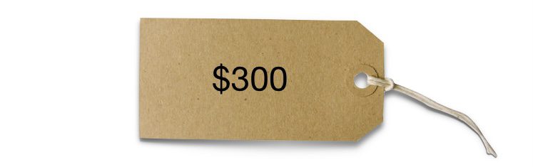 A cardboard box with the word " $ 3 0 0 ".