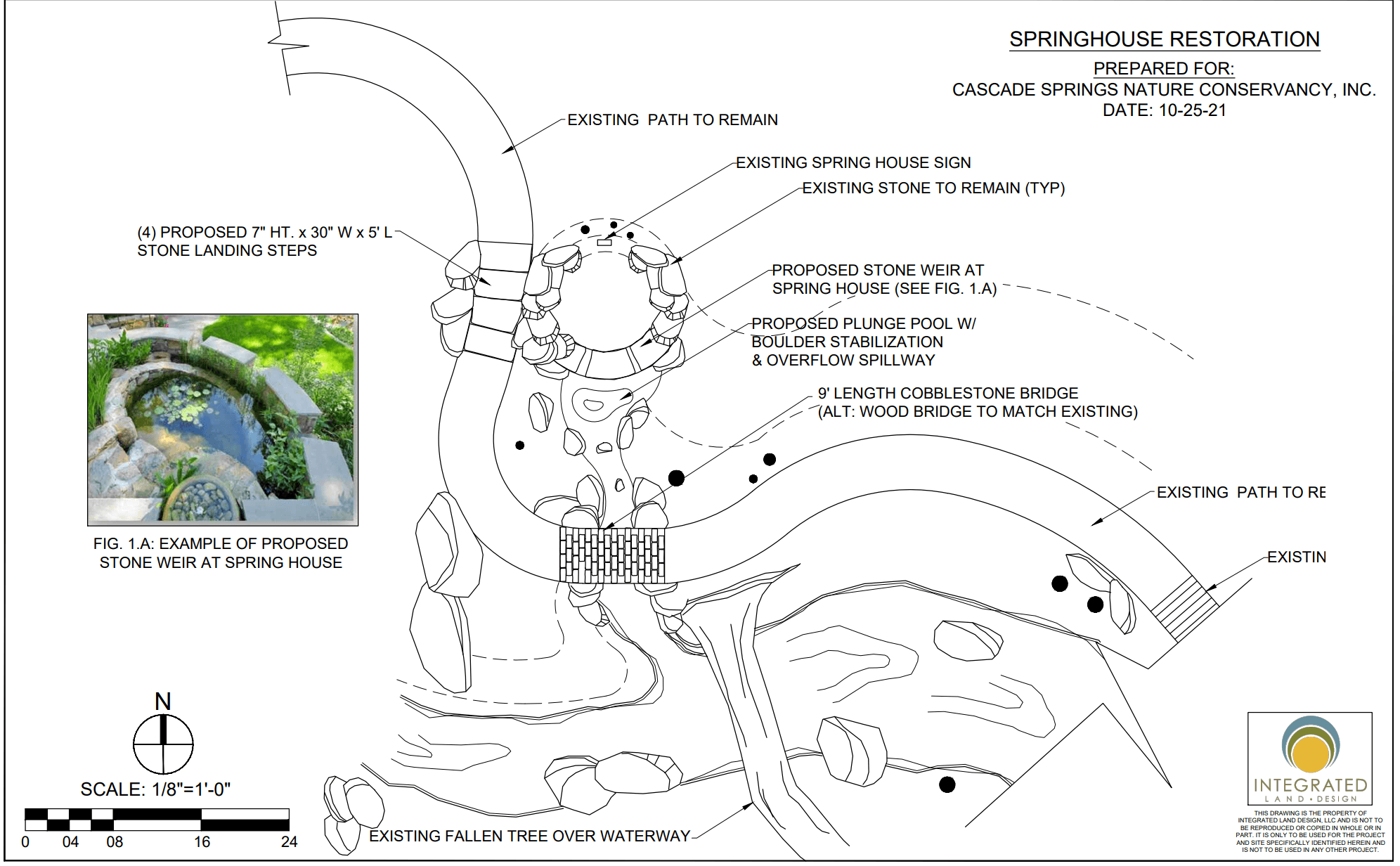 A drawing of the inside of a tree.