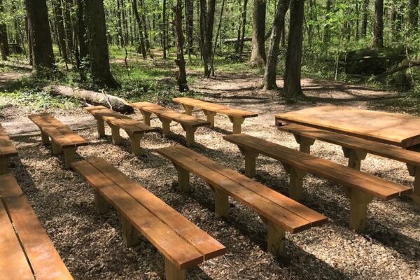 A group of wooden benches in the middle of a forest.