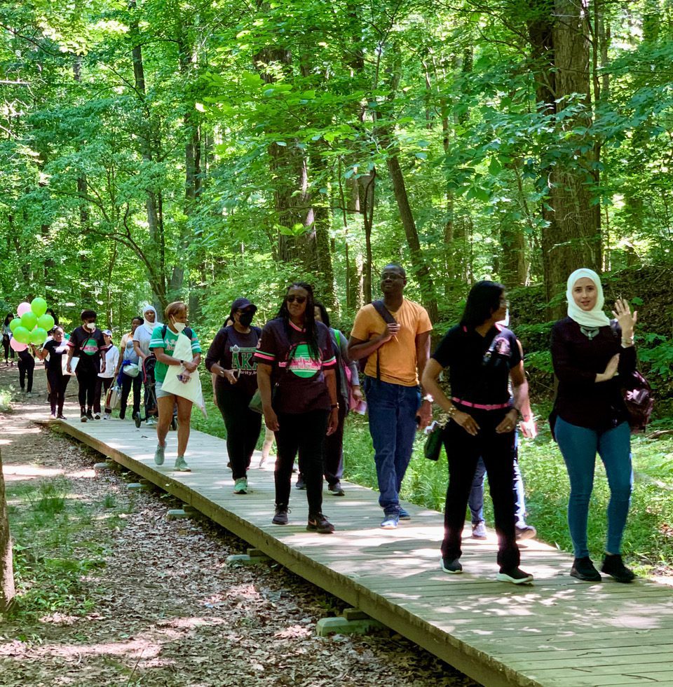 A group of people walking on a path in the woods.