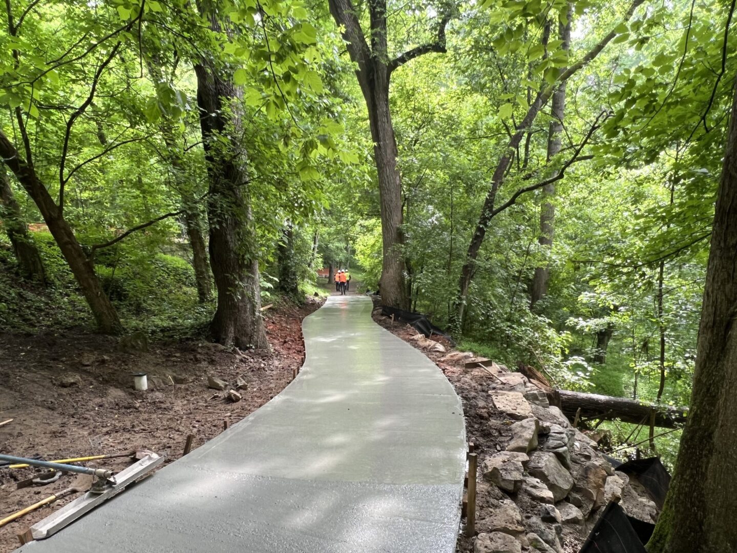 A paved path through the woods with trees