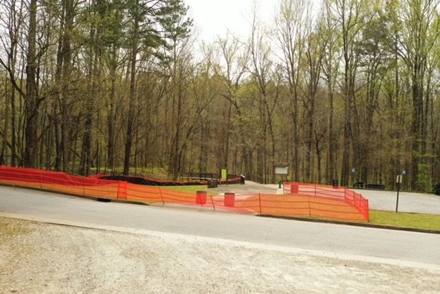 A road with trees and orange fence on it