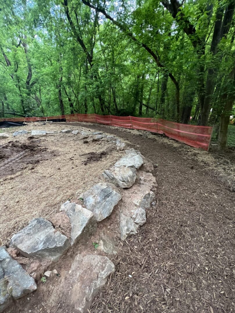 A stone wall in the middle of a forest.