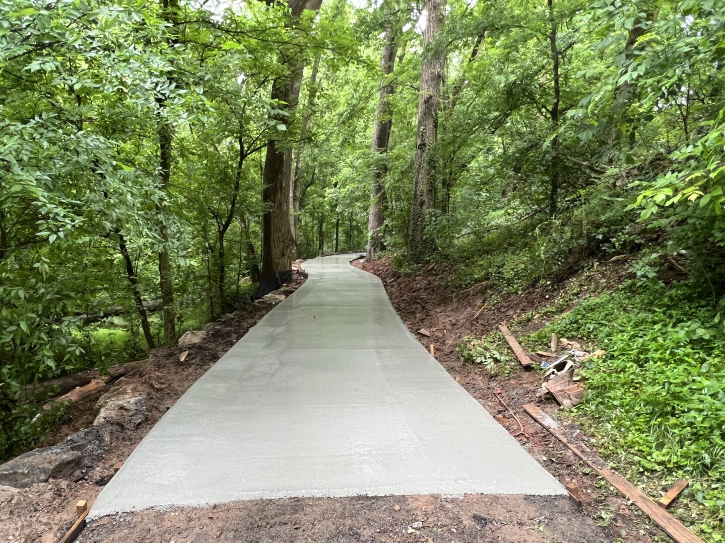 A concrete path in the middle of a forest.