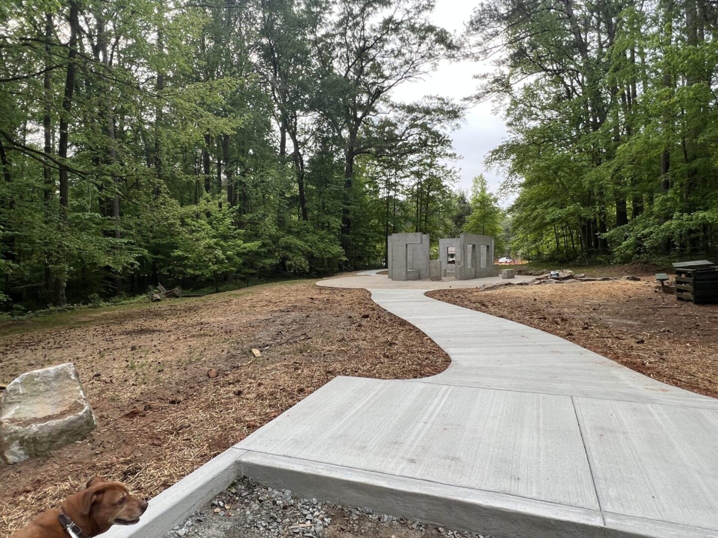 A path that is going through the woods.