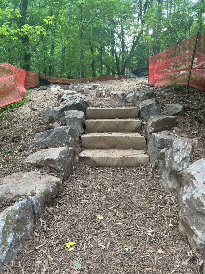 A path with steps leading to the top of it.