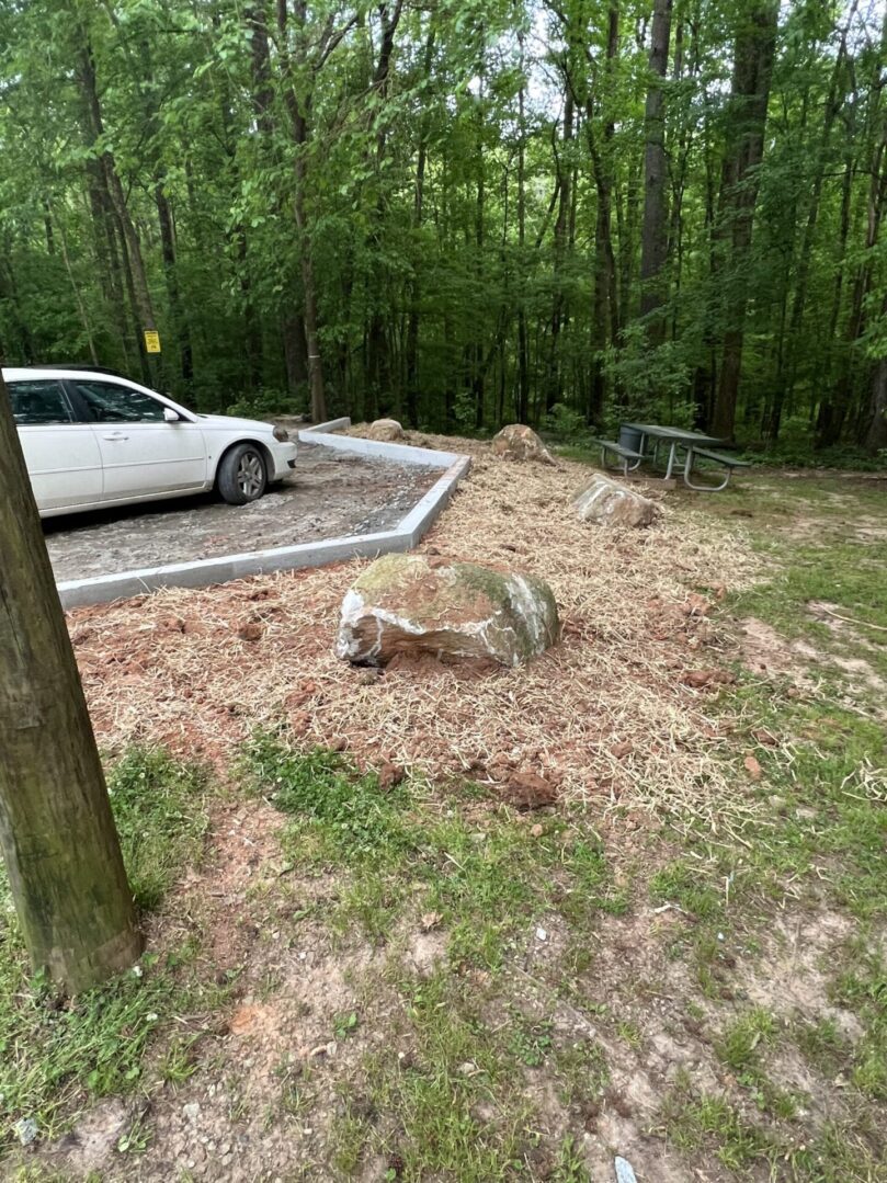 A white car parked in the grass near some trees.