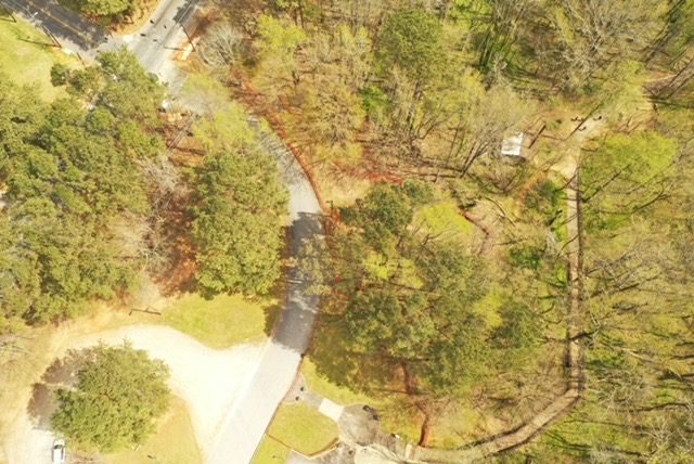 A bird 's eye view of the road and trees.