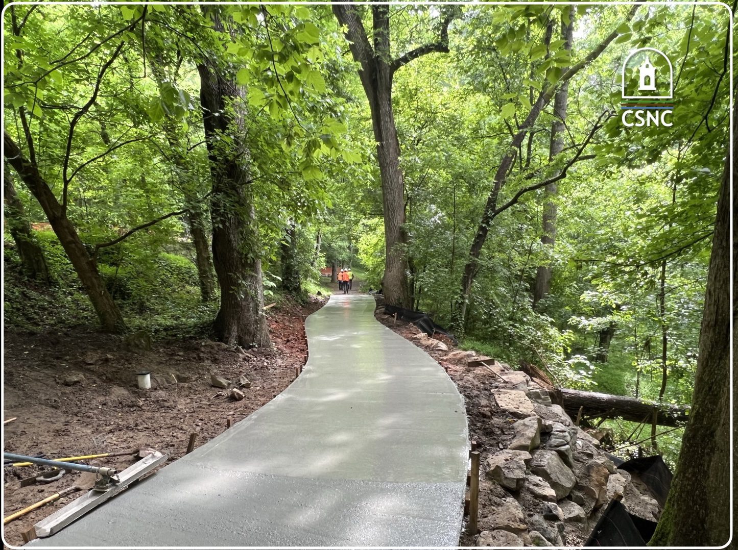 A paved path through the woods with trees