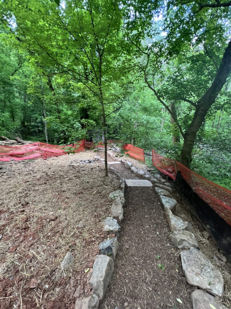 A trail in the woods with trees and rocks