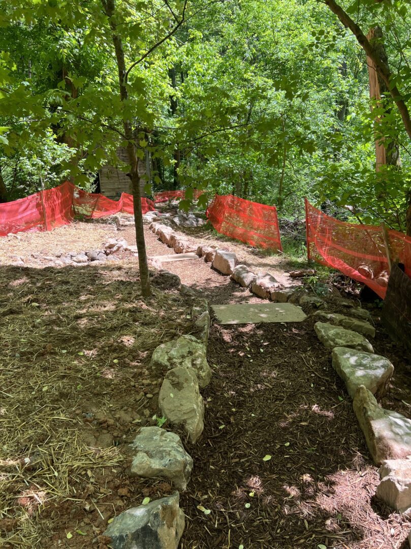 A view of the dirt path from above.