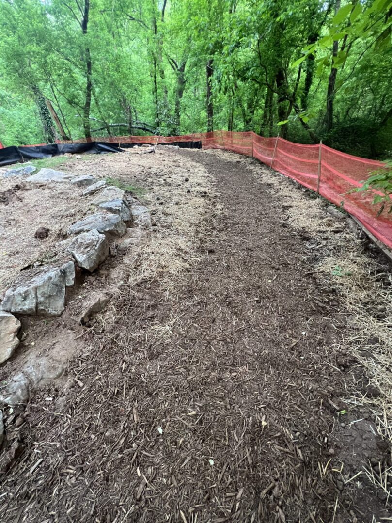 A dirt path with rocks and trees in the background.