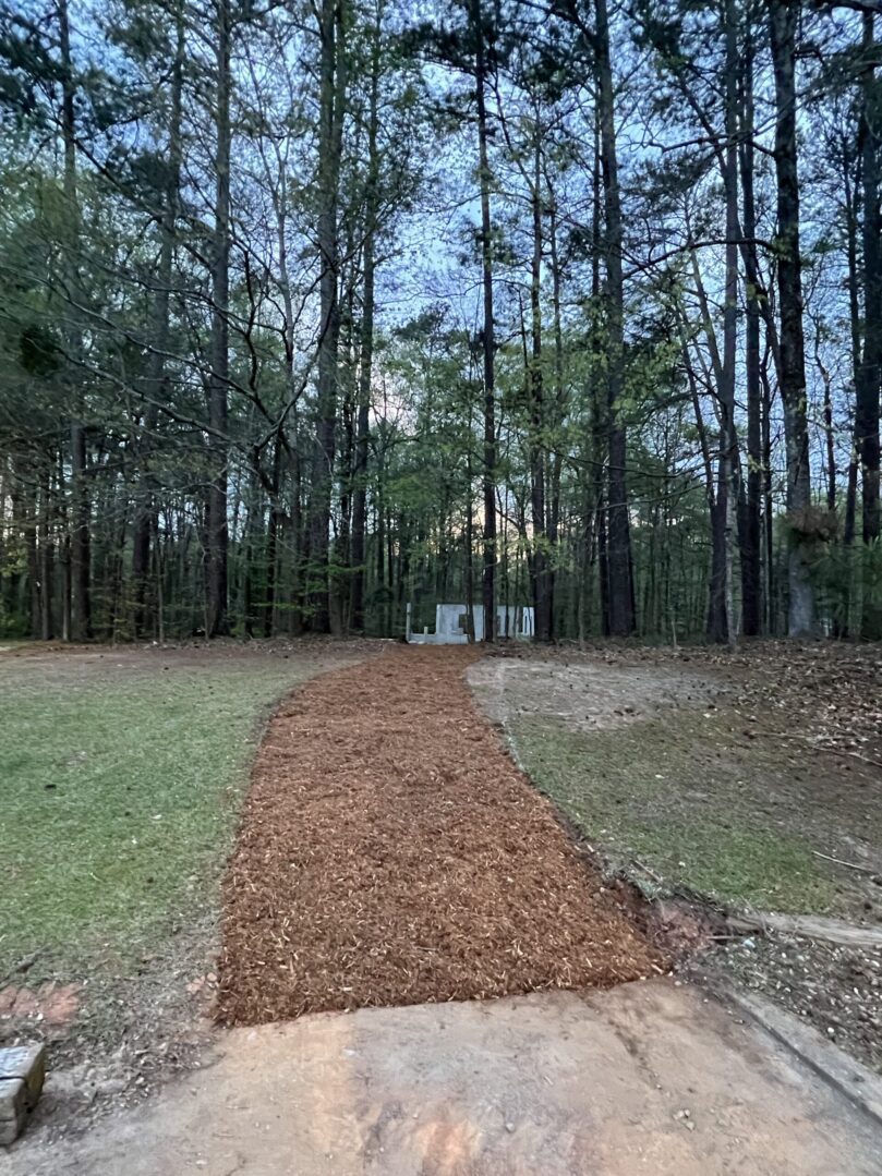 A dirt path in the middle of a field.