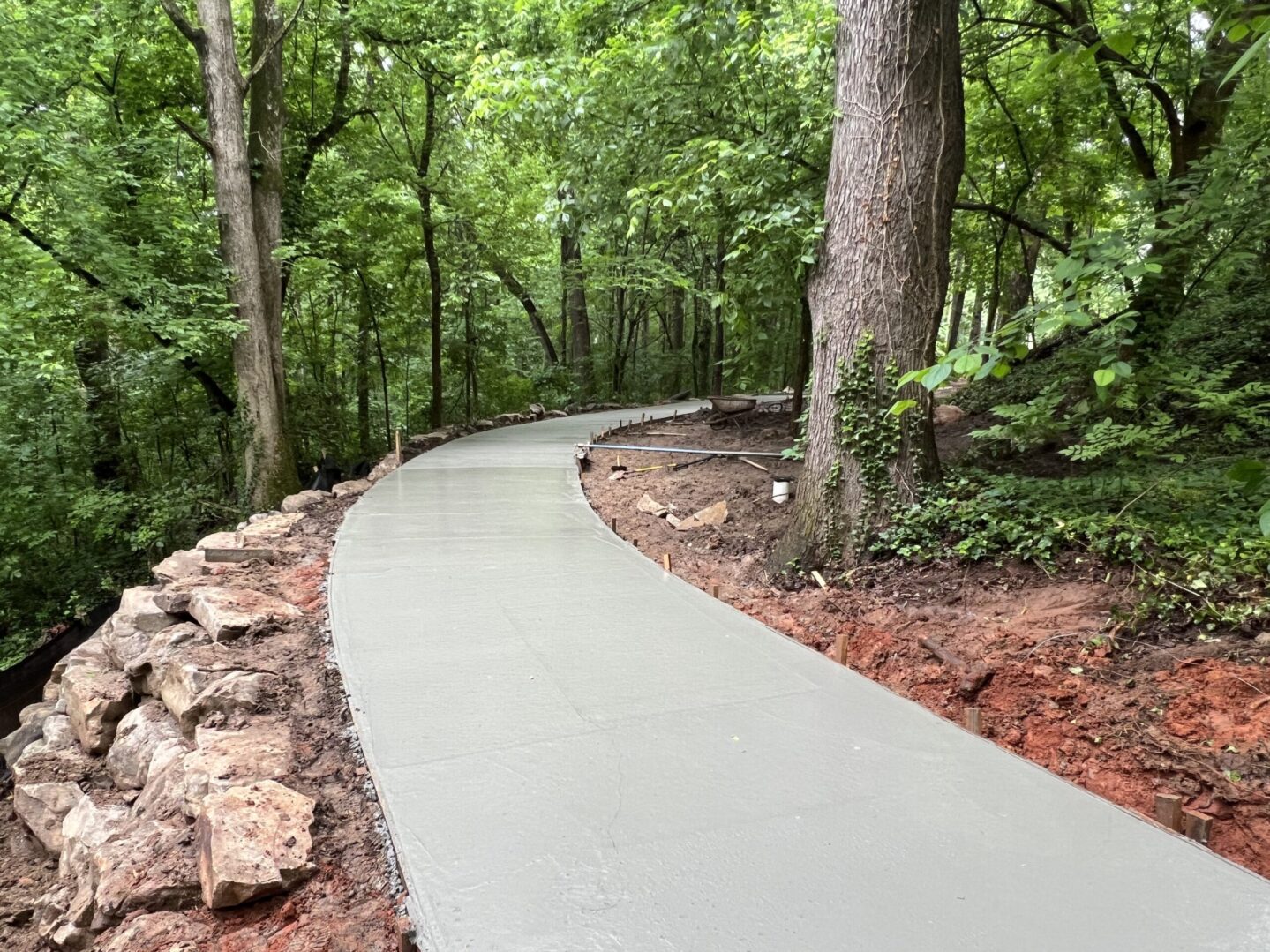 A path in the woods with trees and rocks