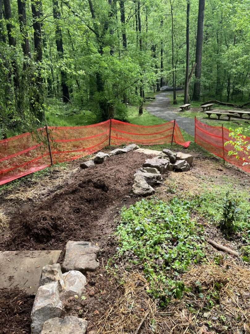 A large pile of dirt in the middle of a forest.