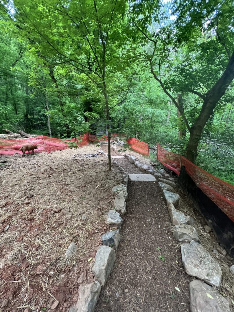 A trail in the woods with trees and rocks