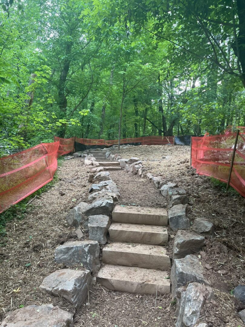 A path with steps leading to the top of it.