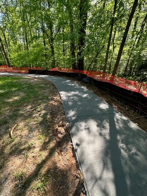 A path in the middle of a forest with trees behind it.