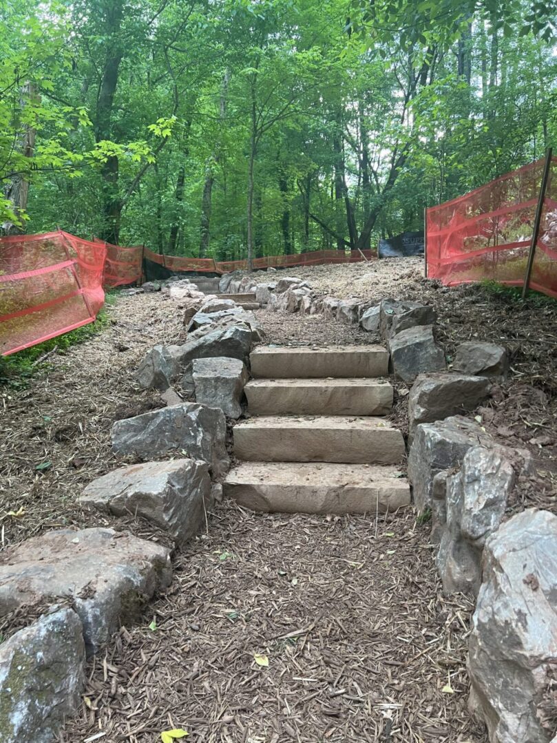 A path with steps leading to the top of it.