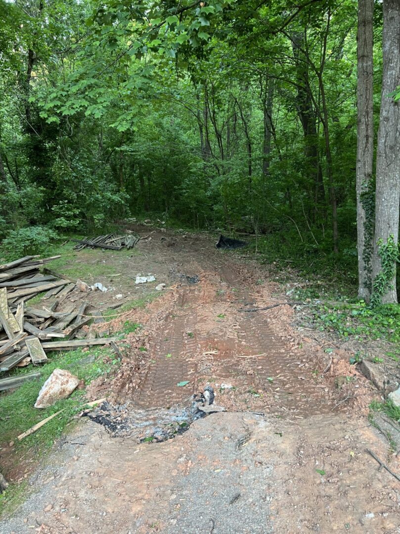 A dirt road in the middle of a forest.