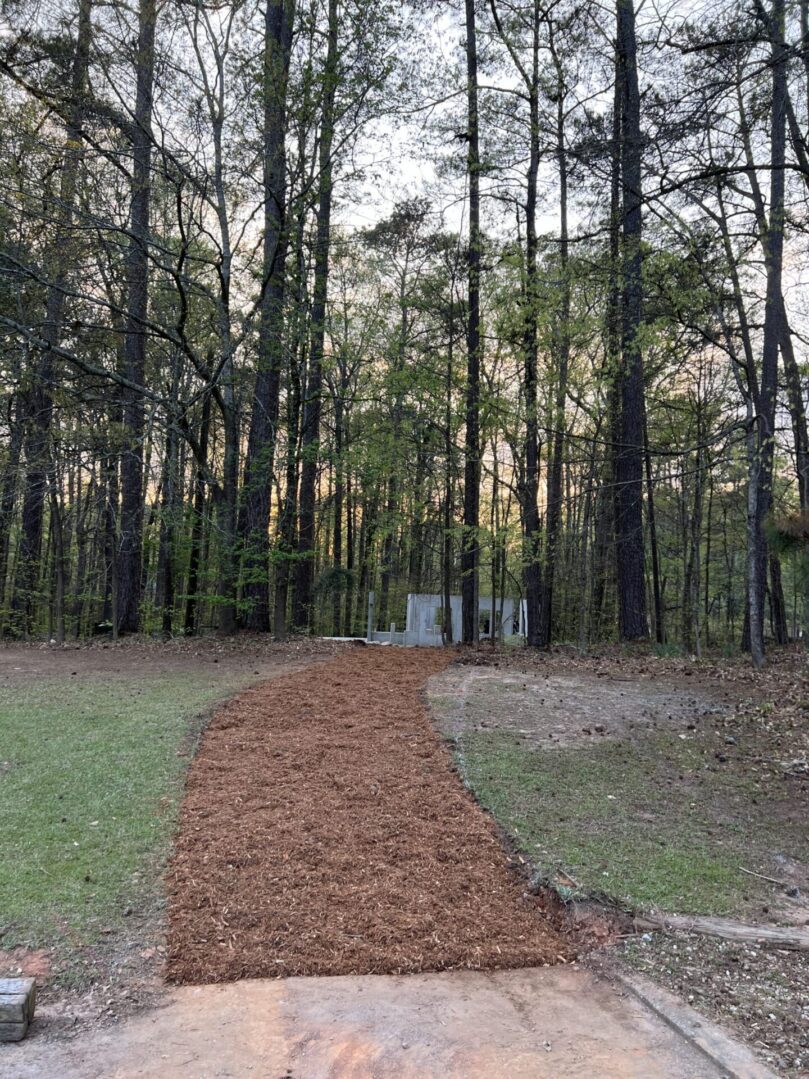 A dirt path through the woods leading to a house.