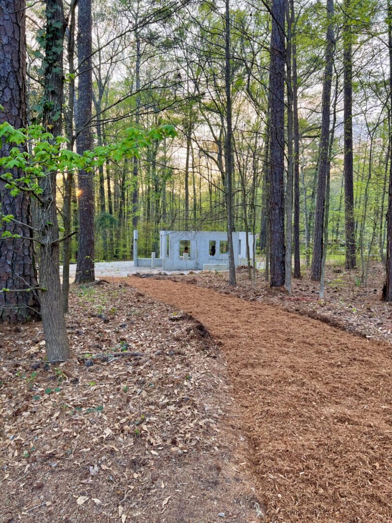 A dirt road in the middle of a forest.