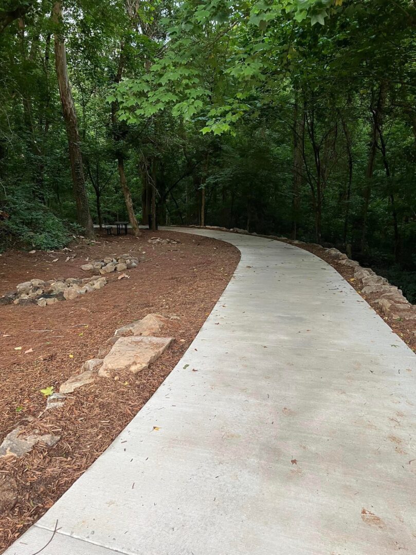 A concrete path in the middle of a forest.